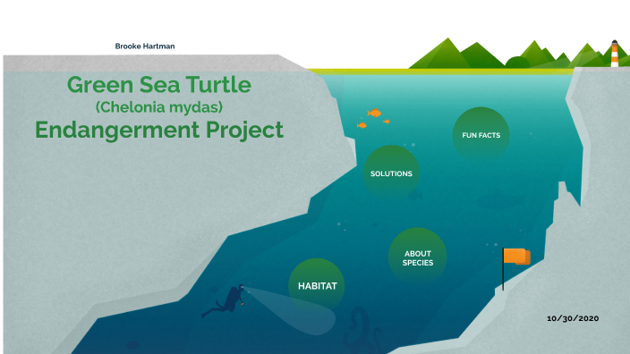 Green Sea Turtle by Brooke Hartman on Prezi