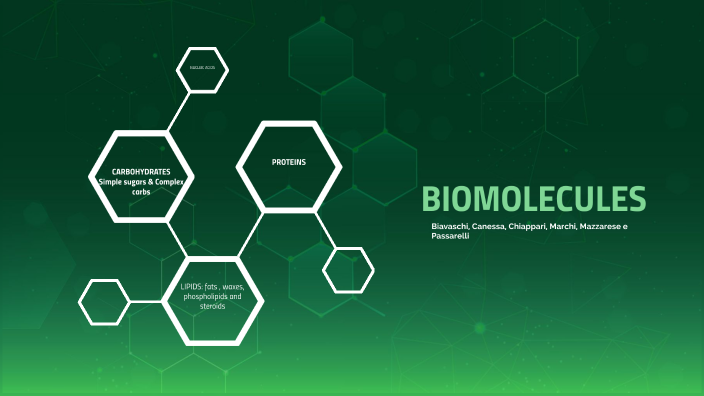 Biomolecules by Martina Canessa on Prezi