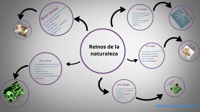 Reinos de la naturaleza by Shaz Cardozo on Prezi