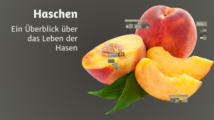 Haschen by Péter Molnár on Prezi