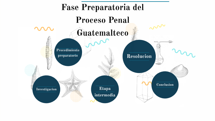 Esquema Del Proceso Penal En Guatemala By Adan Pérez Alcantara On Prezi Next 2250