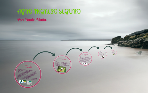 AGRO INGRESO SEGURO by Daniel Viaña