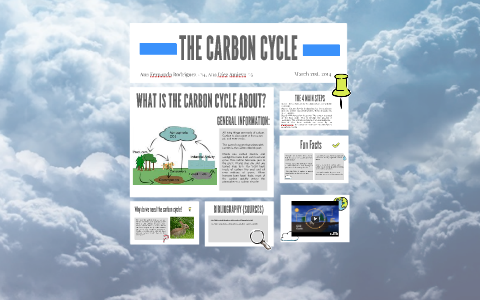 THE CARBON CYCLE by Ana Diez on Prezi