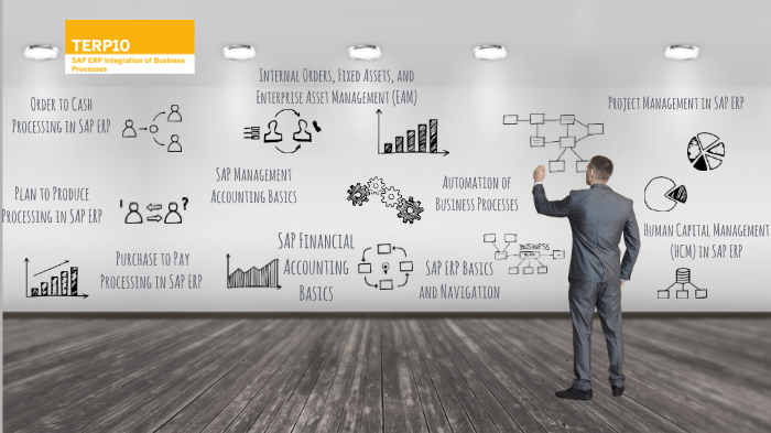 SAP Bus. Process by on Prezi