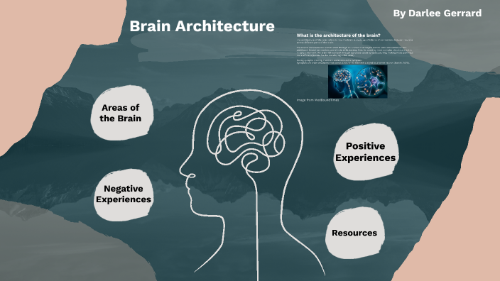 Brain Architecture by Darlee Gerrard on Prezi