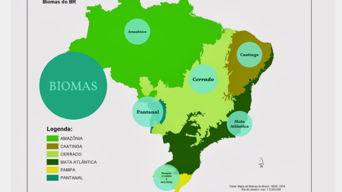 Biomas Brasileiros by Luisa Libardi on Prezi