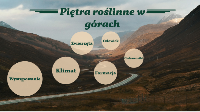 Piętra roślinne w górach by Adrianna G on Prezi
