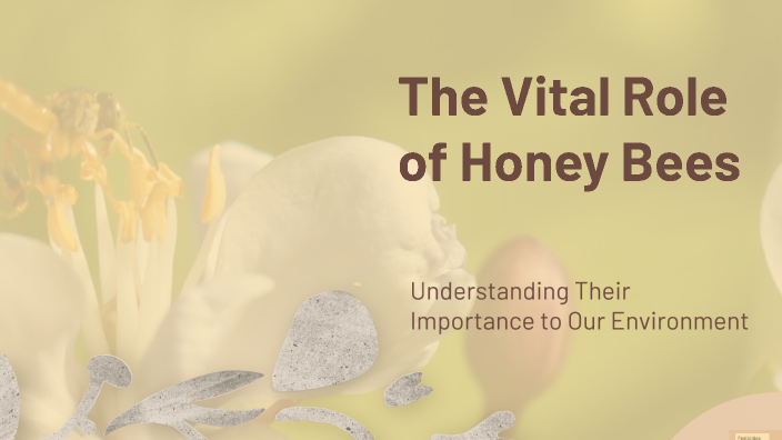 The Vital Role of Honey Bees by Mariah Lindroth on Prezi