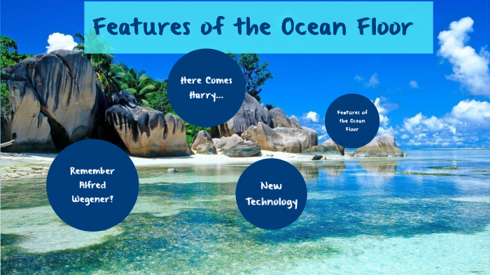 Features Of The Ocean Floor By Shaunna Young On Prezi Next
