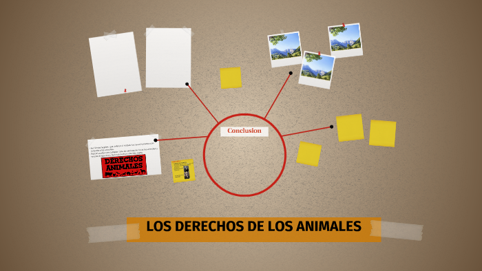 LOS DERECHOS DE LOS ANIMALES by Maria Belen Carrillo on Prezi