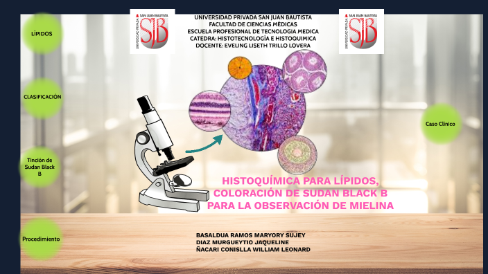 Histotecnología E Histoquímica Semana 12 By Jaqueline Díaz Murgueytio ...