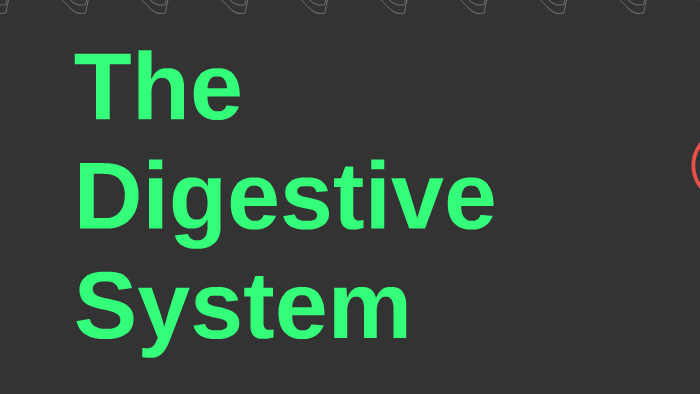 The Digestive System by Colton Bushell on Prezi