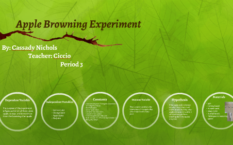3 hypothesis in apple browning experiment