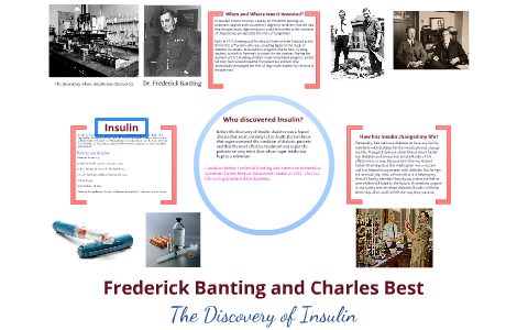 The Discovery of Insulin by Stephanie Rosali on Prezi