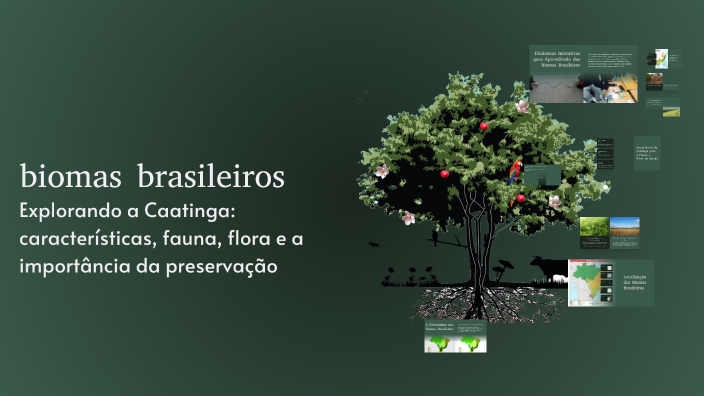 biomas brasileiros by Michele Souza da Silva on Prezi
