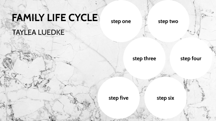 family-life-cycle-by-taylea-luedke