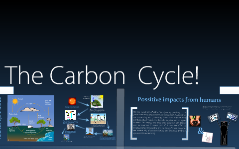 The Carbon Cycle by Christine Trinh on Prezi