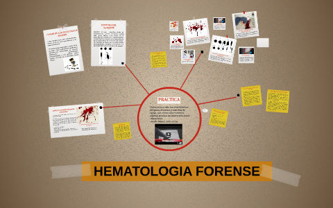 HEMATOLOGIA FORENSE by Angie Beltran on Prezi Next