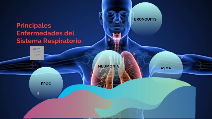 Principales Enfermedades Del Aparato Respiratorio Síntomas Causas Y Tratamientos By Daniela