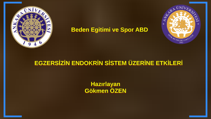 Yağız İzgül Yağız İzgül
