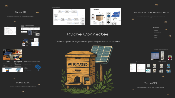 ruche-connect-e-by-grondard-leny-on-prezi