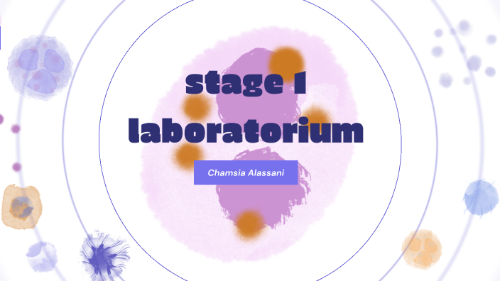 stage laboratorium by chamsia alassani on Prezi