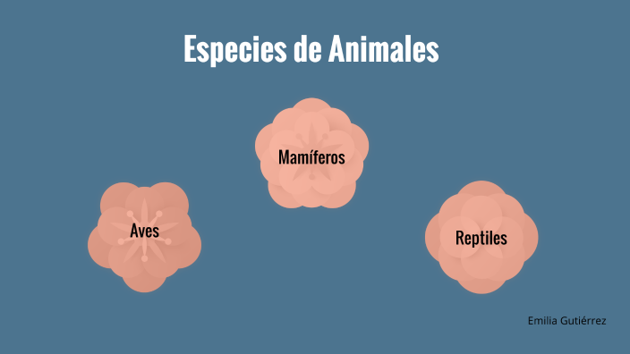 Especies de Animales by emilia gutierrez on Prezi