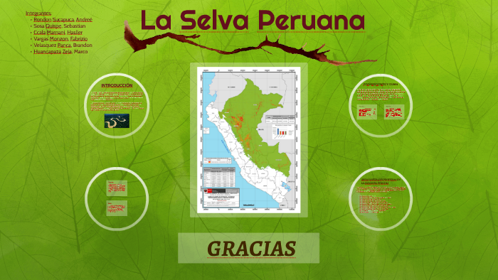 Selva Peruana by Enzo Rondon on Prezi