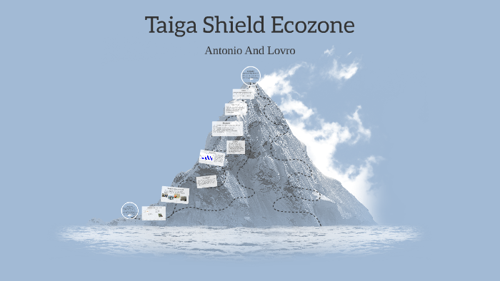 Wildlife of the Taiga Shield Ecozone