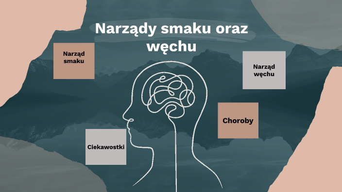Narząd Smaku Jak Się Nazywa Narządy smaku oraz węchu by Magda Owczarek on Prezi