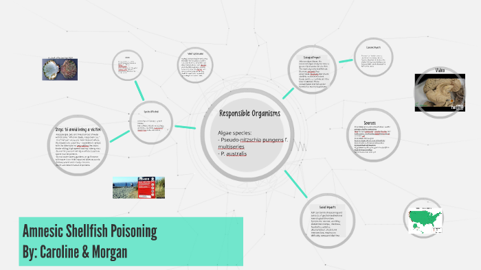 Amnesic Shellfish Poisoning by Morgan Hoyt on Prezi