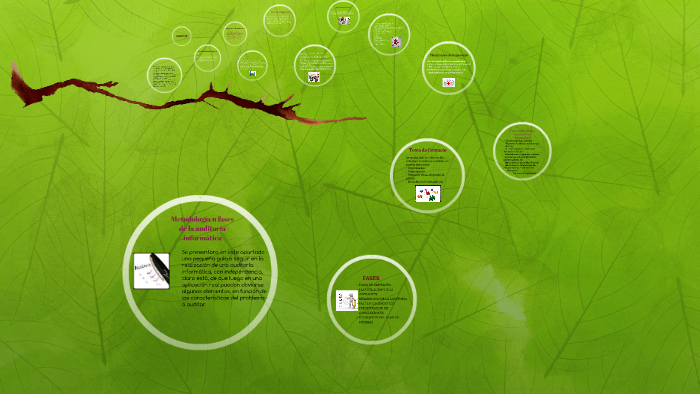 Metodología u fases de la auditoría informática by KATHERIN ANDRADE on ...