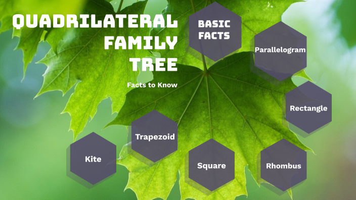 Quadrilateral Family Tree by Hannah Stair on Prezi