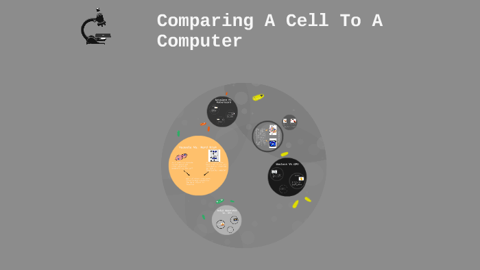 Comparing A Cell To A Computer by bob joe on Prezi