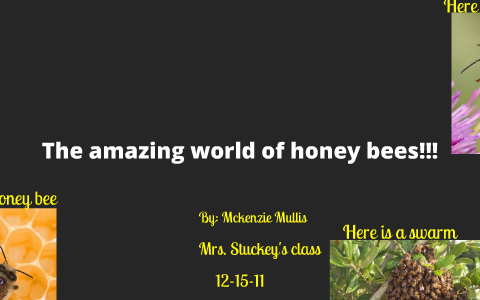The amazing world of honey bees by mckezie mullis on Prezi
