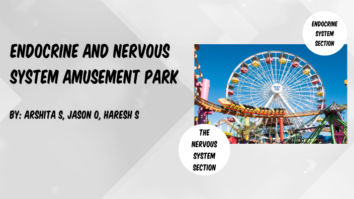 Endocrine and Nervous System Amusement Park by Jason Ou on Prezi