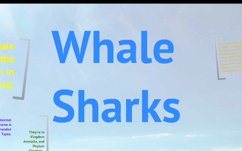 Whale Sharks by Alvin Givens on Prezi