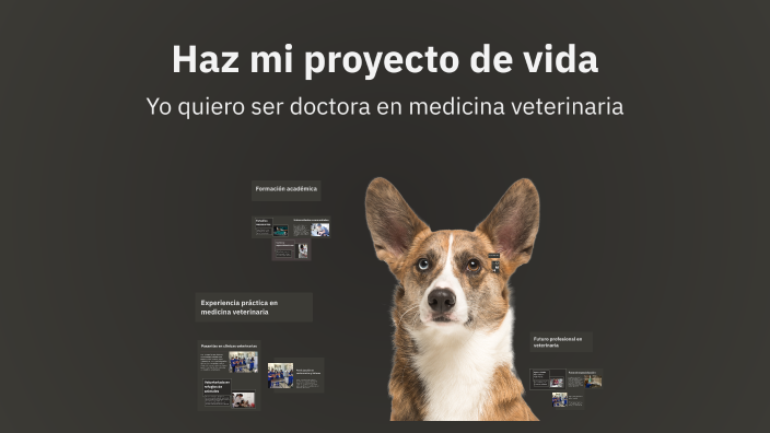 Haz mi proyecto de vida by Isabella Ramirez Suarez on Prezi