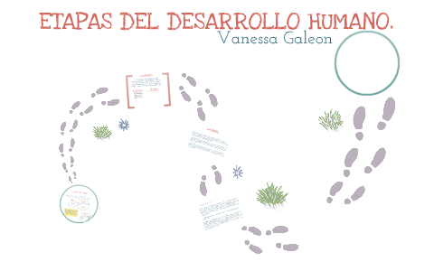 Etapas del desarrollo humano.Vanessa Galeón. by Mely Zumaya