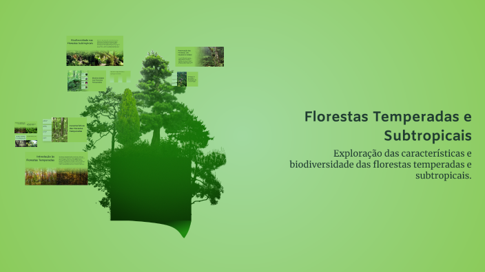 Florestas Temperadas e Subtropicais by nicolas dos santos on Prezi