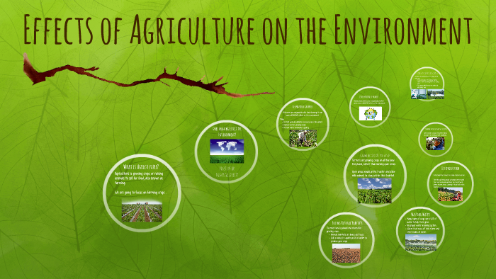  How Agriculture Affects The Environment Agriculture And The 