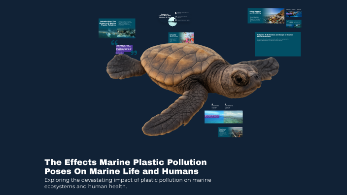 The Effects Marine Plastic Pollution Poses On Marine Life and Humans by ...