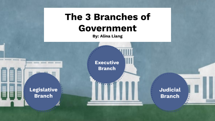 The 3 Branches Of Government By Alina Liang On Prezi