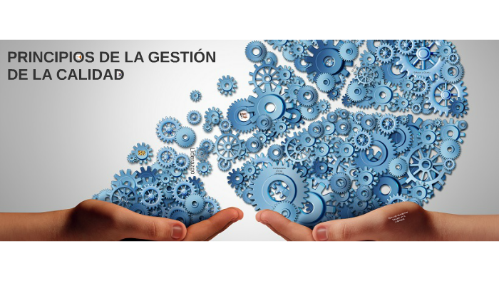 PRINCIPIOS DE LA GESTIÓN DE LA CALIDAD by Daysi Valletta on Prezi