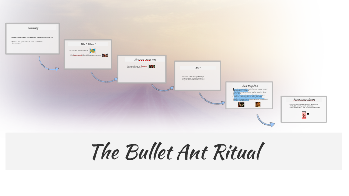 The Bullet Ant Ritual by Bianca De Mari on Prezi
