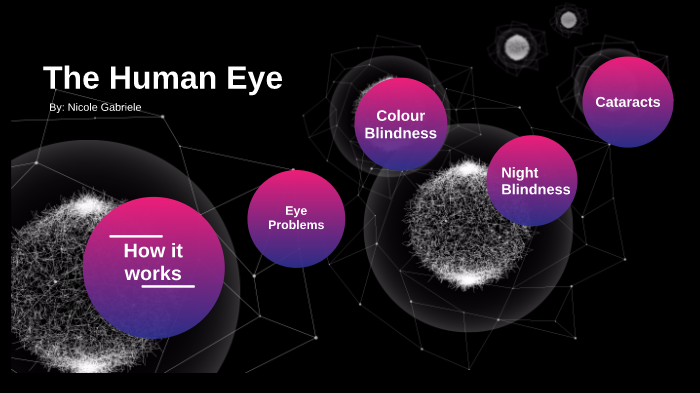 The Human Eye by nicky Gabe on Prezi