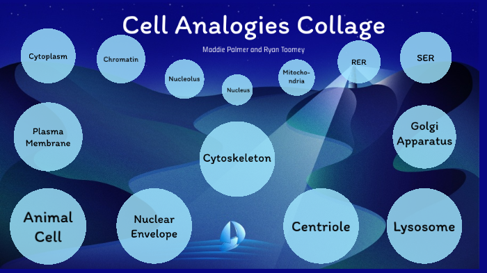 Cells Final by Ryan Toomey on Prezi