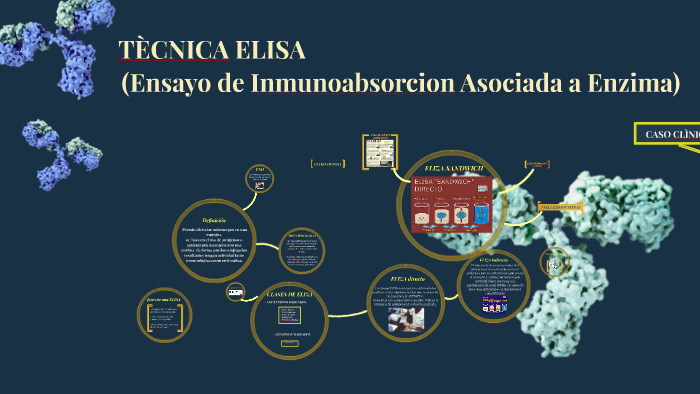 diagrama de elisa directo