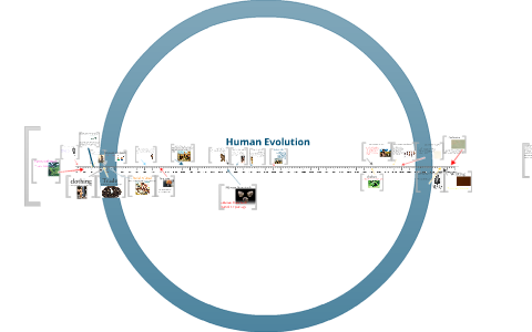 human evolution by Group Five on Prezi