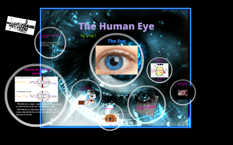 The Human Eye by adil nazar on Prezi